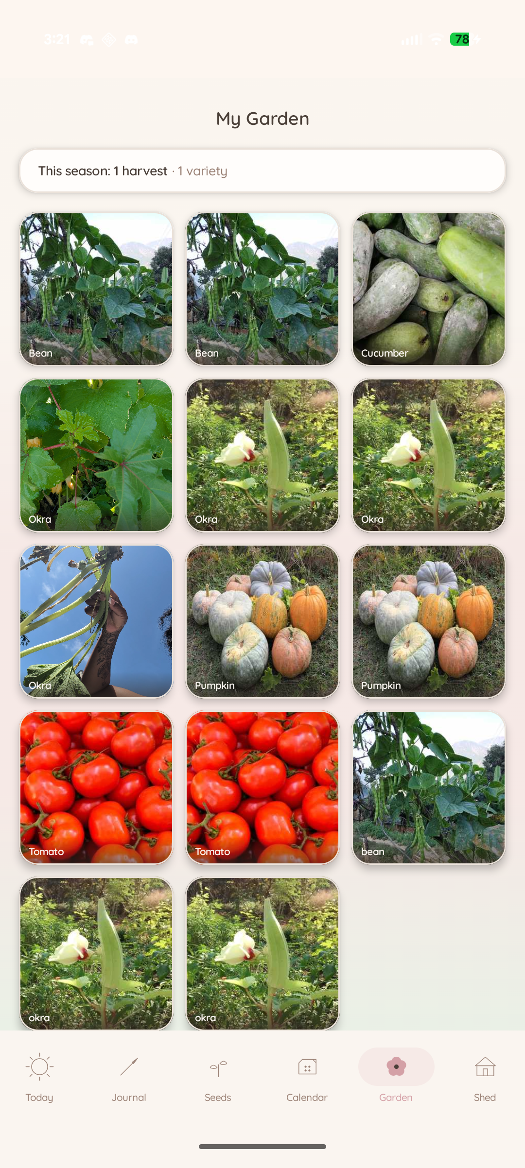 Garden overview